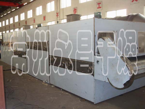 DW Single-belt Dryer