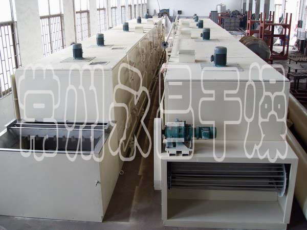 DW Single-belt Dryer