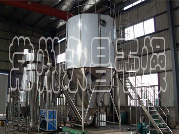 ZLPG Chinese Herbal Medicine Extract Spray Dryer