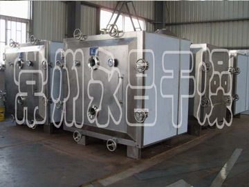 FZG Square Static Vacuum Dryer