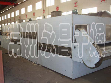 DW Single-belt Dryer