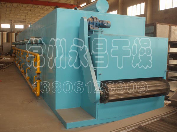 DW Single-belt Dryer