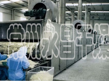 DWC Dehydrated Vegetables Belt Dryer