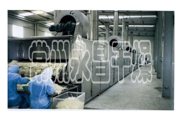 DWC Dehydrated Vegetables Belt Dryer