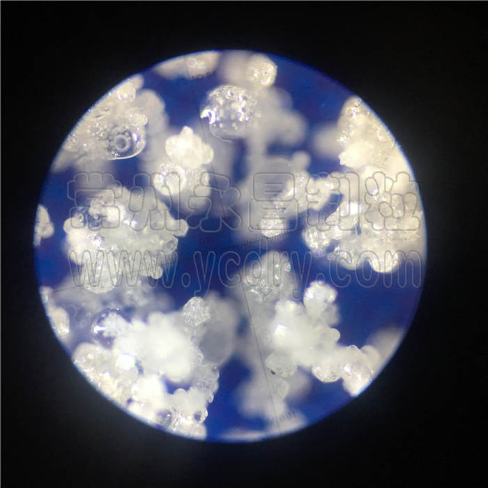 oyster peptide spray granulating equipment