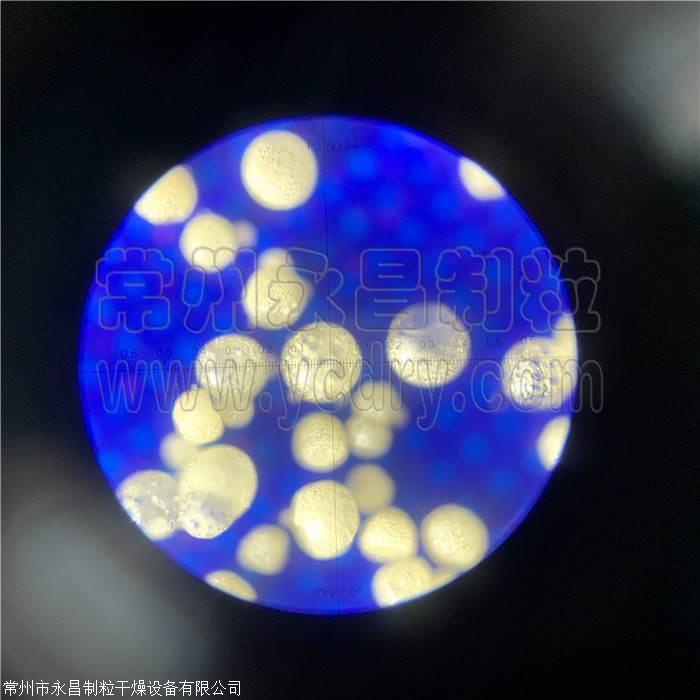 whey protein powder spray granulating equipment