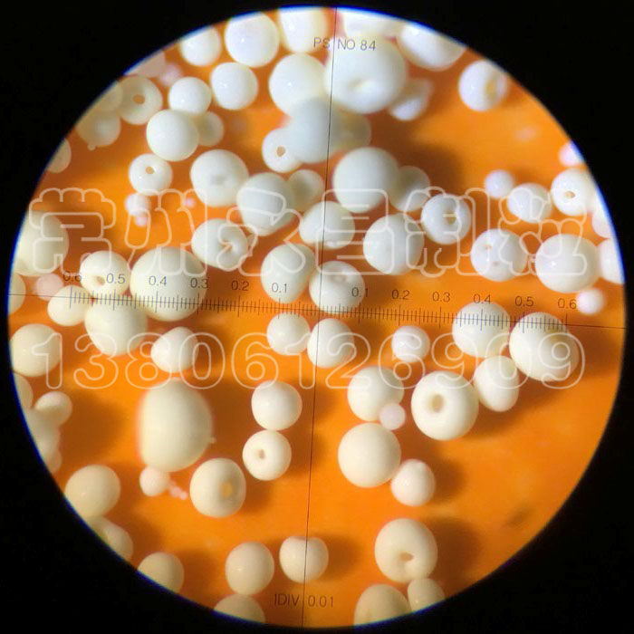 animal albumen spray granulating equipment